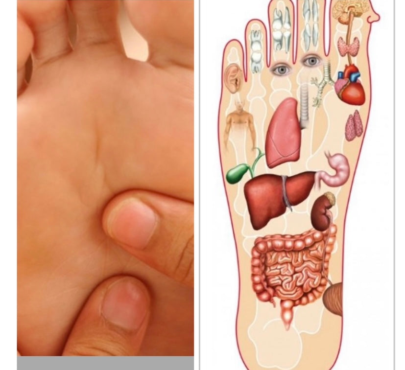 VTCT L3 Reflexology