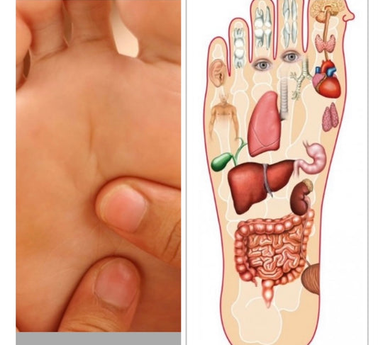 VTCT L3 Reflexology